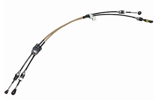 Cable, gear