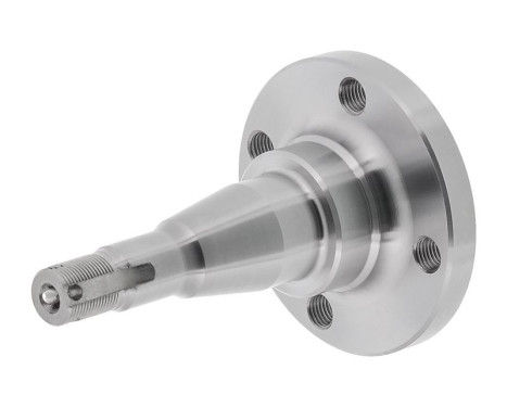 Ash cone, ash body