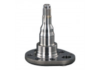 Kingpin, axle beam 18348 FEBI