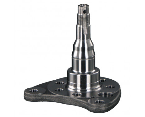 Kingpin, axle beam 18350 FEBI