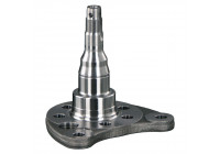 Kingpin, axle beam 18352 FEBI