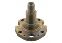 Kingpin, axle beam 30276 FEBI