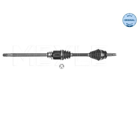 Drive shaft
