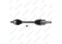 Drive Shaft