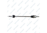 Drive Shaft
