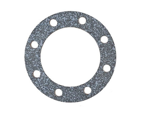 Seal Ring, drive shaft bearing