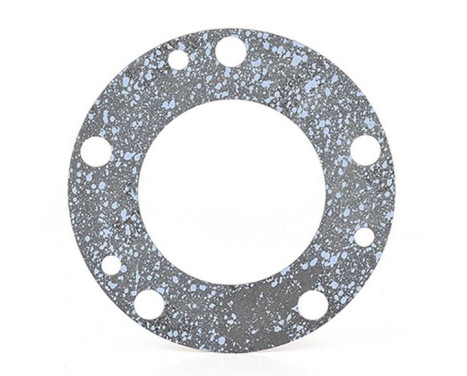Seal Ring, drive shaft bearing