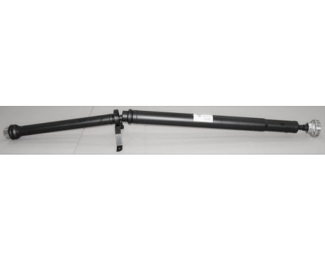 Drive shaft, shaft drive