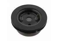 Mount, transfer case