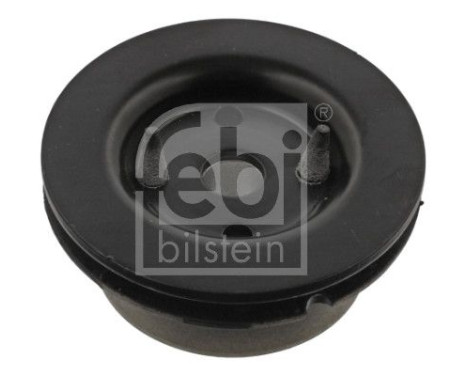 Mount, transfer case, Image 2