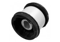 Mount, automatic transmission support