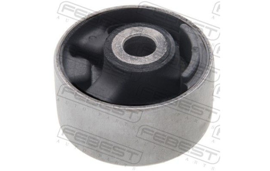 Mount, differential