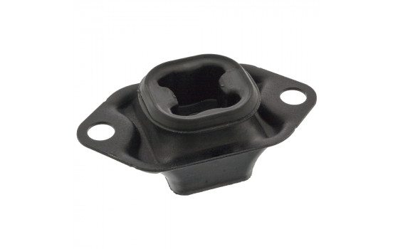 Mount, transfer case