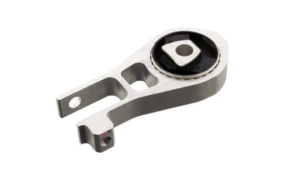 Mount, transfer case