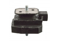 Mount, transfer case