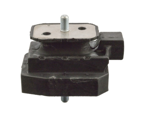 Mount, transfer case