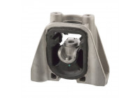 Mount, transfer case