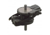 Mount, transfer case