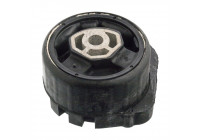 Mount, transfer case