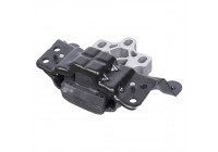 Mount, transfer case