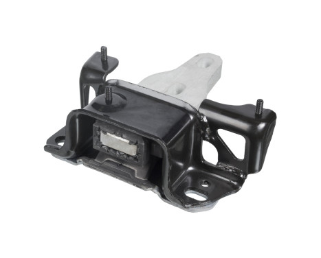 Mount, transfer case