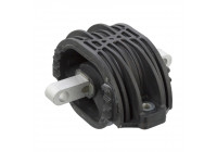 Mount, transfer case