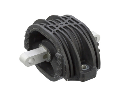 Mount, transfer case