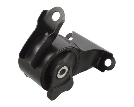 Mount, transfer case