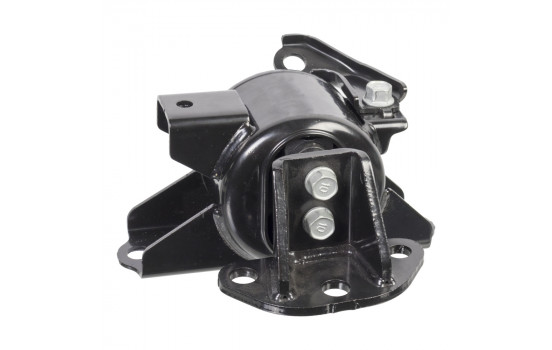 Mount, transfer case