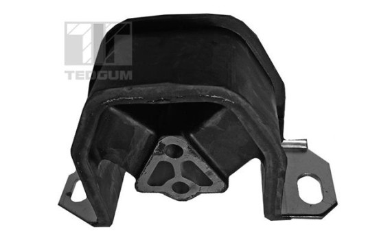 Suspension, manual gear carrier