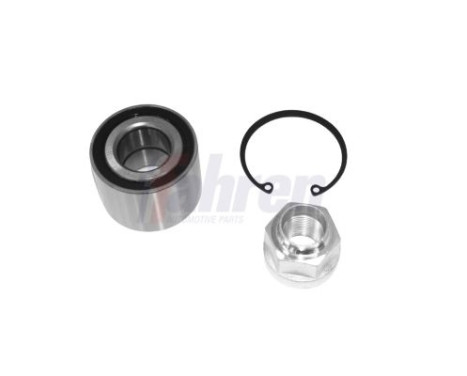 FAHREN WHEEL BEARING SET