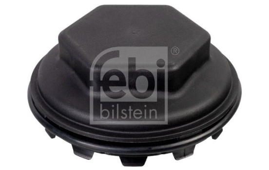 Protection Lid, wheel hub 173938 FEBI