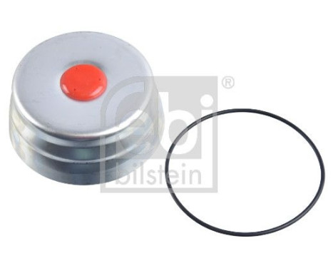 Protective cover, wheel hub 182210 FEBI