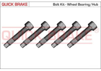 Repair kit, wheel hub