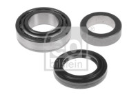 Wheel bearing 175601 FEBI