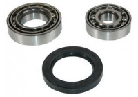 Wheel bearing 200063 ABS