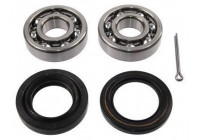 Wheel bearing 200169 ABS