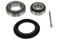 Wheel bearing 200481 ABS