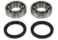 Wheel bearing 200503 ABS