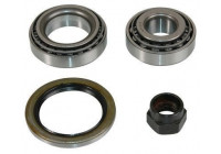 Wheel bearing 200681 ABS
