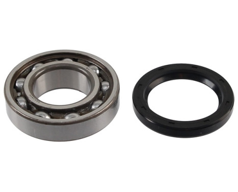 Wheel bearing 201321 ABS