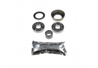 Wheel bearing ADD68225C Blue Print