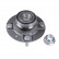 Wheel bearing ADG08312 Blue Print