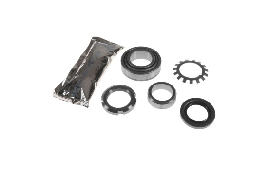 Wheel bearing ADG08348 Blue Print