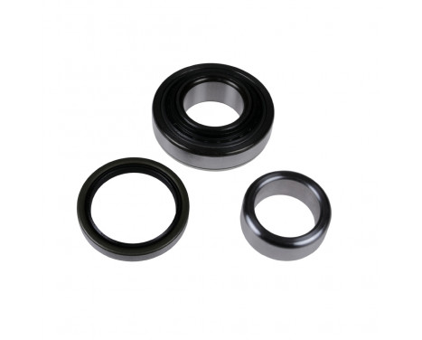 Wheel bearing ADK88309 Blue Print