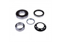 Wheel bearing ADK88321 Blue Print