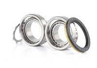 wheel bearing BSG 60-600-002