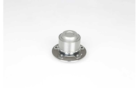 Wheel bearing BSG 60-600-020
