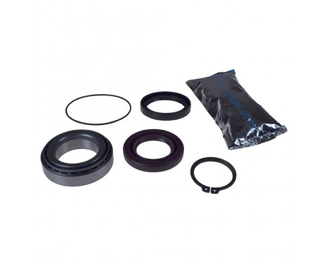 Wheel Bearing Kit ADC48363 Blue Print