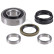 Wheel bearing set 201859 ABS